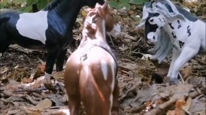 Эдит/// сериал тени судьбы//Karmen  studio//Эдит для MLP spirit TV// лошади шляйх