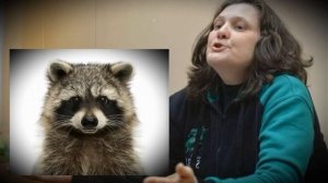 Монтян, террористка и экстремистка, и "охранота"...