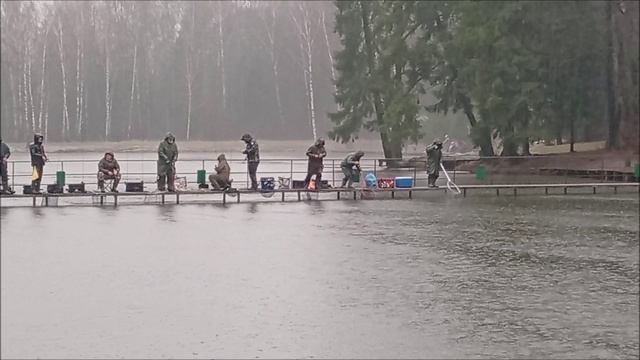 Очень хороший клёв форели со старта. Рыбалка на спортивной зоне в Клёвом месте лосиный остров. смотреть онлайн