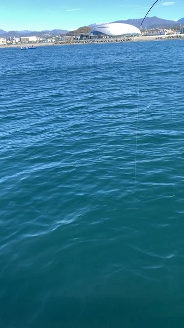 Мерланг, второй мерланг. смотреть онлайн