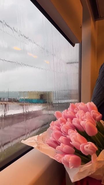 Fredo de Gaultier - Confession of Strings #love #train #flowers #rain #elmarmammadyarov смотреть онлайн