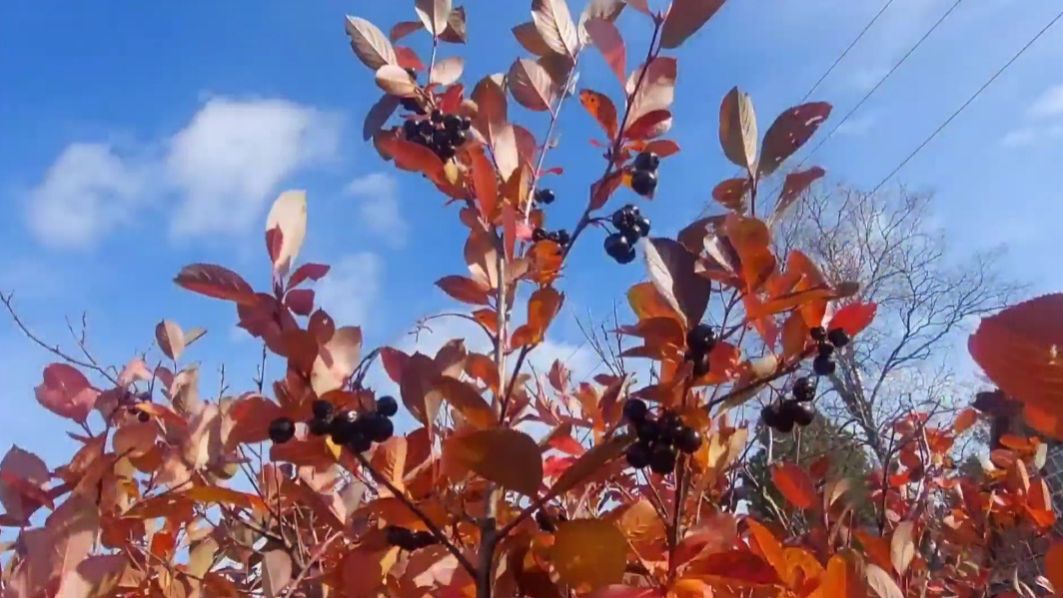 Не грустите .Дорога на дачу .Красноярск смотреть онлайн