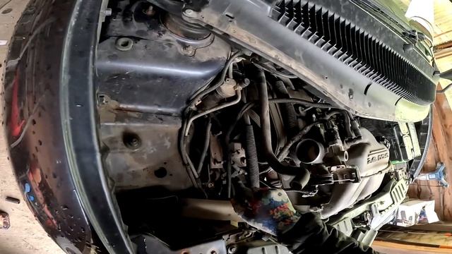 Бобёр работает и я работаю ! Страус автомеханик ! ХУТОР В ЛЕСУ №864