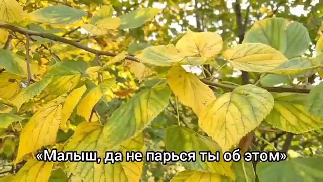 У меня появилась любовница, тебе придется уйти из нашего дома.... смотреть онлайн