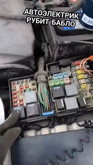 форд фокус оживление мертвеца смотреть онлайн