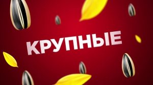 Семечки Джинн