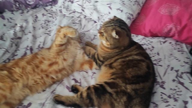 внуча и бабушка смотреть онлайн