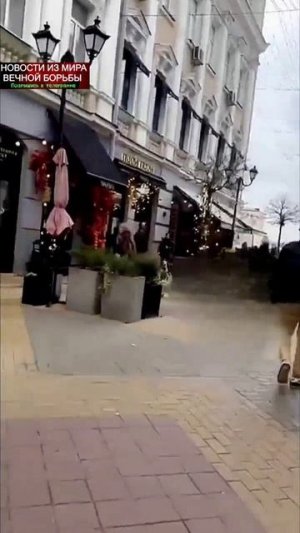 В Ростове бородач  ударил без причины  породистую собаку, которая гуляла на поводке.