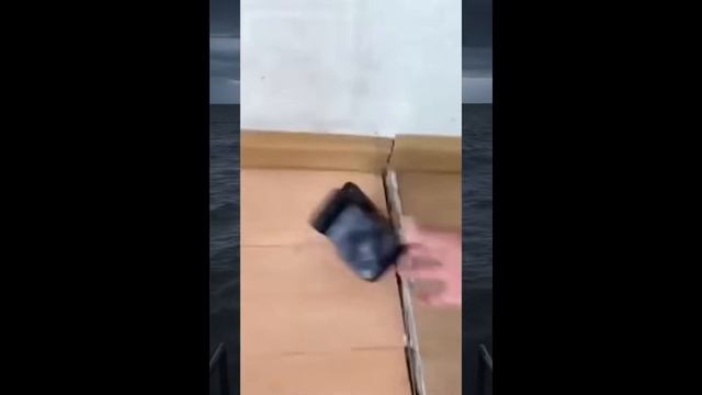 ТИК_ТОК_МЕМЫ
