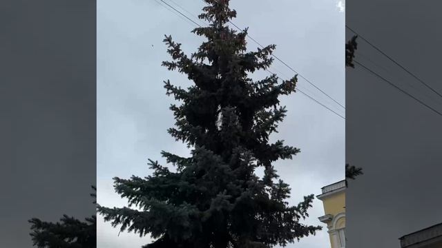 ✨ Наш город продолжает преображаться смотреть онлайн