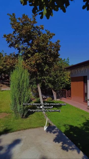 Видео от МОНС 4* COTTAGE