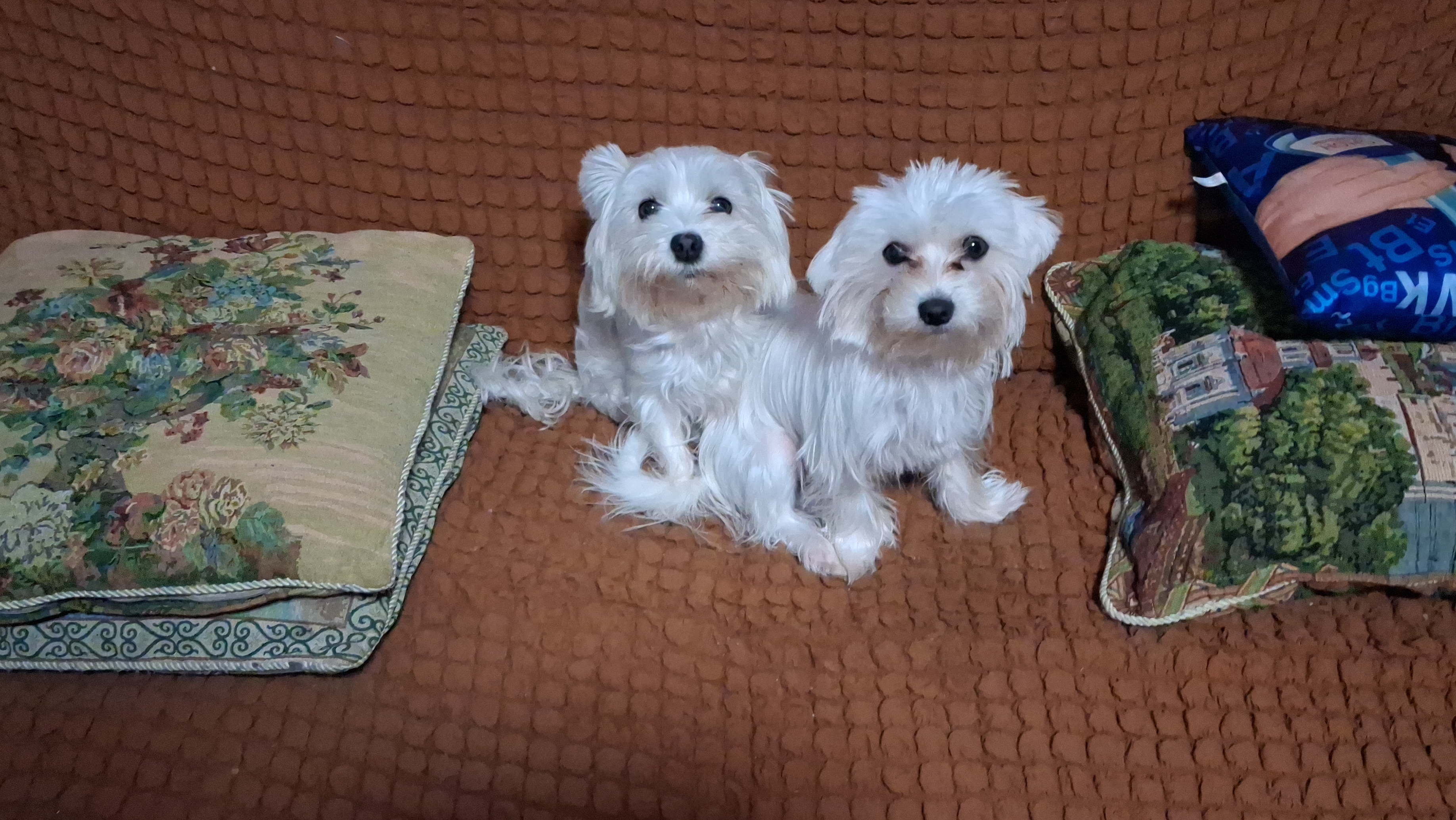 Наши красотки как всегда...на высоком старте!!! смотреть онлайн