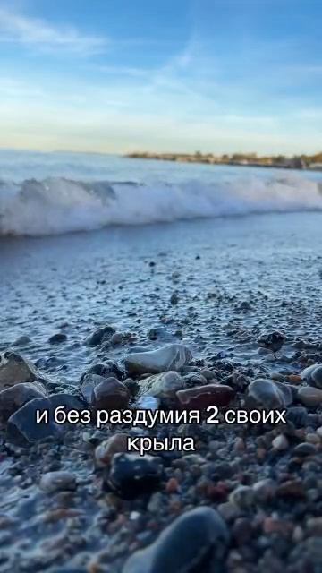 у дружбы не бывает выходных смотреть онлайн