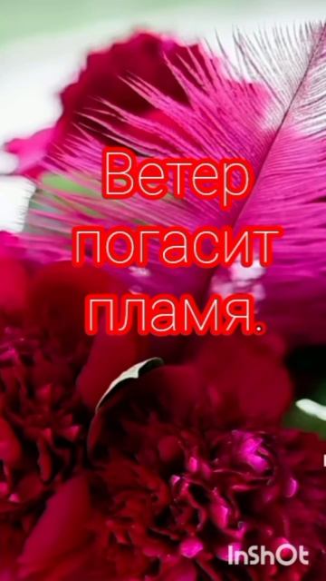 Вода смоет следы.... смотреть онлайн