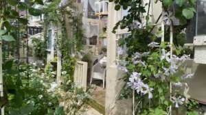 сад🦋🐝🐞🌿