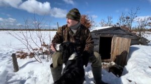 Старая избушка еще послужит