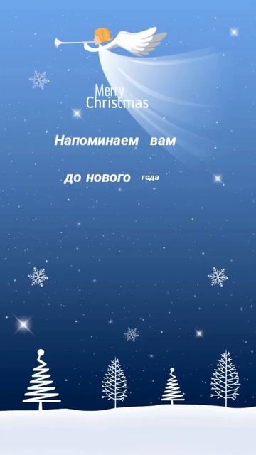 Цитата#226 ___ До🎄4⃣3⃣дня___ #цитаты #motivation