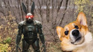 NOSEY АНИМАТРОНИК УБ*ЙЦА ПРИШЕЛ В РОССИЮ! Корги Кекс Говорящая собака