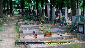 В РПЦ ответили, можно ли есть лежащие на могилах конфеты