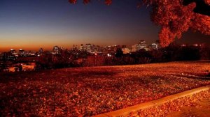 90ꜱ ᴀᴜᴛᴜᴍɴᴄᴏʀᴇ ꜰᴏʀ ᴍᴇᴍᴏʀʏ ʀᴇᴛʀɪᴇᴠᴀʟ  A Nostalgic Fall Vaporwave Mix (Autumn Aesthetic)