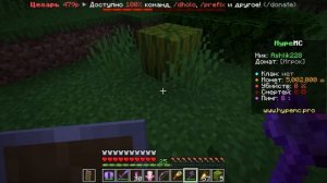 Сервер HypeMC.pro