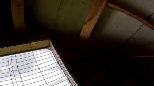 Страусы заболеют ! Купаться пошли ! Сенник готов ! ХУТОР В ЛЕСУ №854