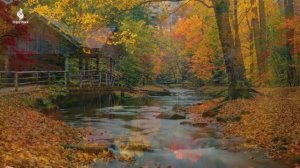 Осенняя безмятежность 🍁 Успокой свой разум на природе расслабляющей фортепианной музыкой