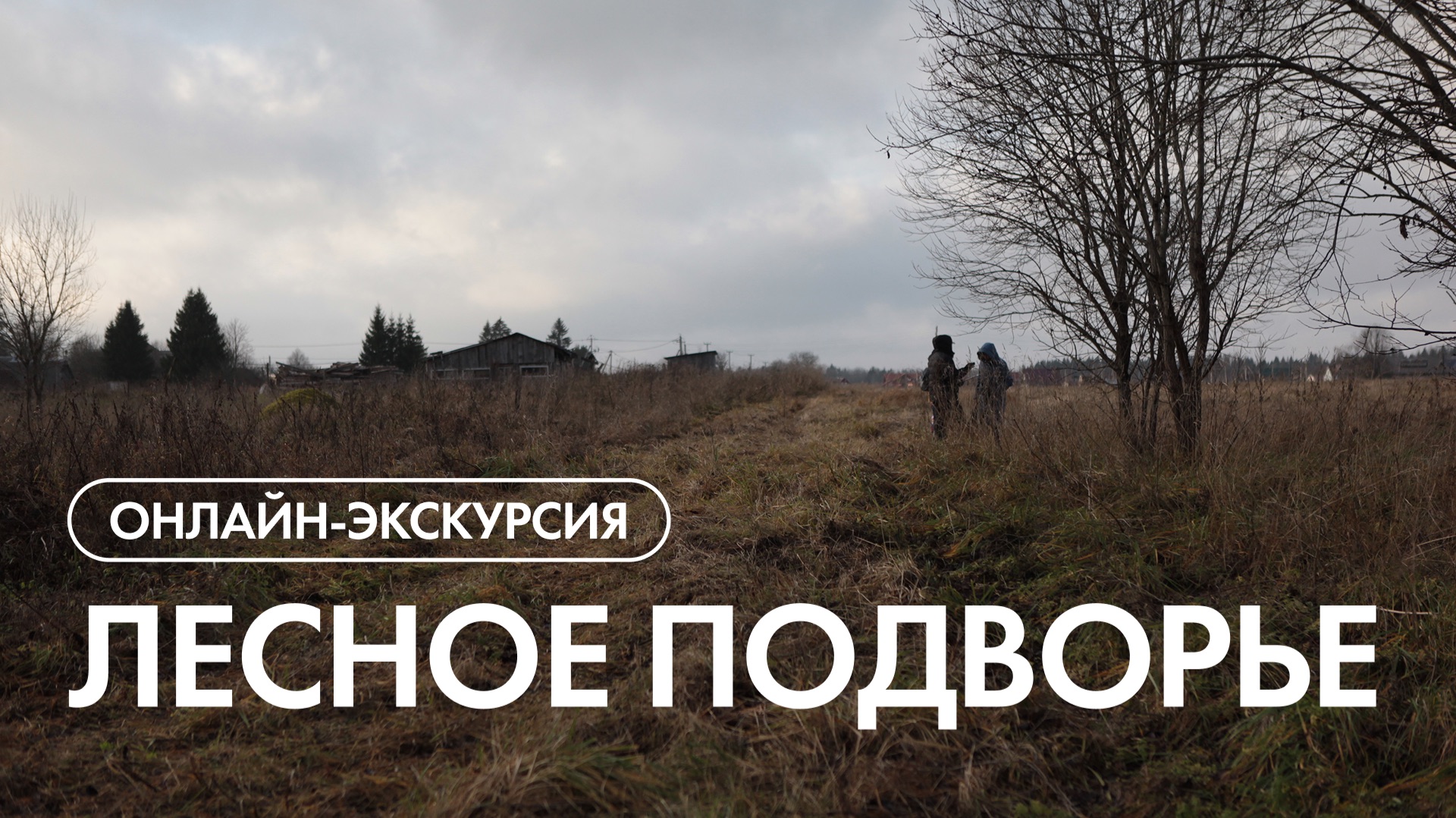 Онлайн-экскурсия по посёлку "Лесное подворье" смотреть онлайн
