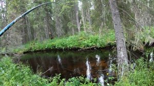 За хариусом по старой речке.День второй.Рыбалка одного места,клевало,как в сказке.