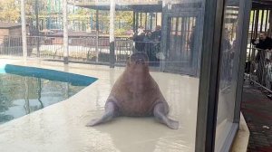 Бахчисарай, зоопарк