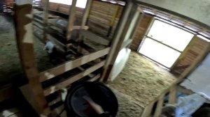 Псих напал на меня ! Бобёр работает! Как строить буду?! ХУТОР В ЛЕСУ №863