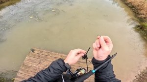 Он просто взял и умер ... Потери в хозяйстве ! ХУТОР В ЛЕСУ №877