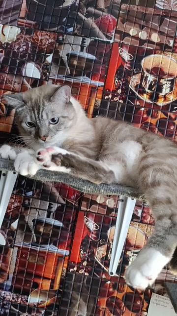 Каспер смотреть онлайн