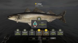 Русская Рыбалка 4    Тур на Норвежском море