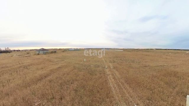 2487665 смотреть онлайн