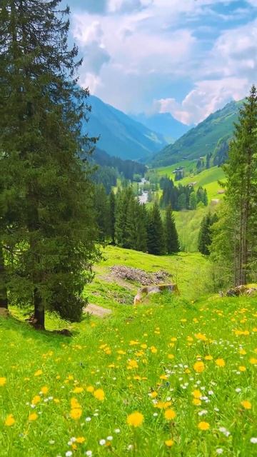 Fredo de Gaultier - Sparrow in the Rain #Switzerland #forest #mountains #flowerhour #flowerfields смотреть онлайн