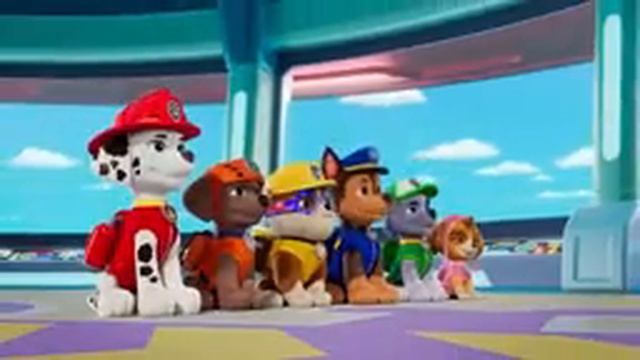 Щенячий патруль | Спасения Крепыша в Бухте Приключений! | 90 минут | Nick Jr. Cyrillic смотреть онлайн