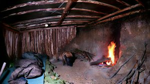 Живу вместе с собакой в самодельной хижине в лесу. Пища на костре, дикие животные и сильный ливень