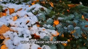 Спеша на работу, официантка- сирота обомлела, услышав на французском ,разговор о её наследстве...