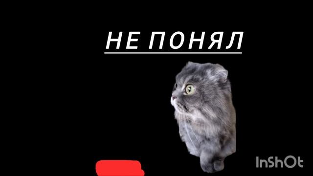 новый сериал смотреть онлайн