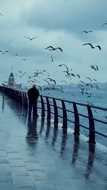 Fredo de Gaultier - Passion and Pain, Pt.4 #Turkey #birds #people #birdsoftheworld #birdwings смотреть онлайн