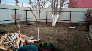 такой фитнес тоже не кто не отменял(18.11.25)