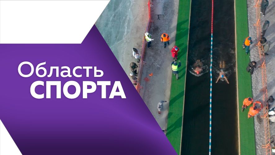 Область спорта № 337