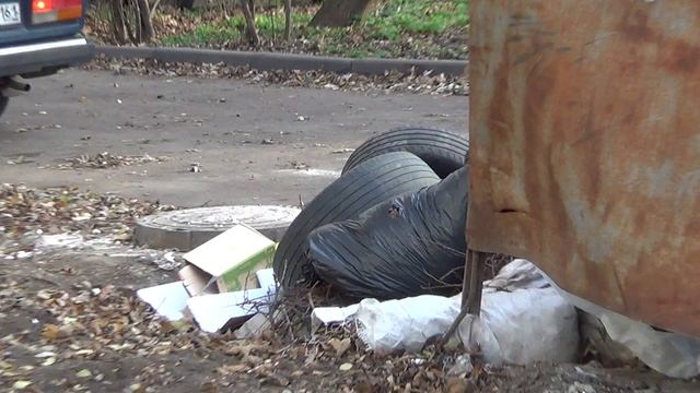 18 ноября 2025 года - 15-12 - состояние на незаконной помойке - новые и старые шины, мусор