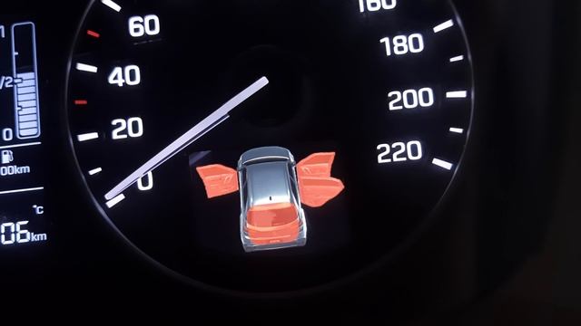 209 Индикация открытых дверей.