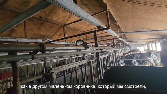 Ep.216 Friends and Great Hospitality (Russian Subtitles) смотреть онлайн