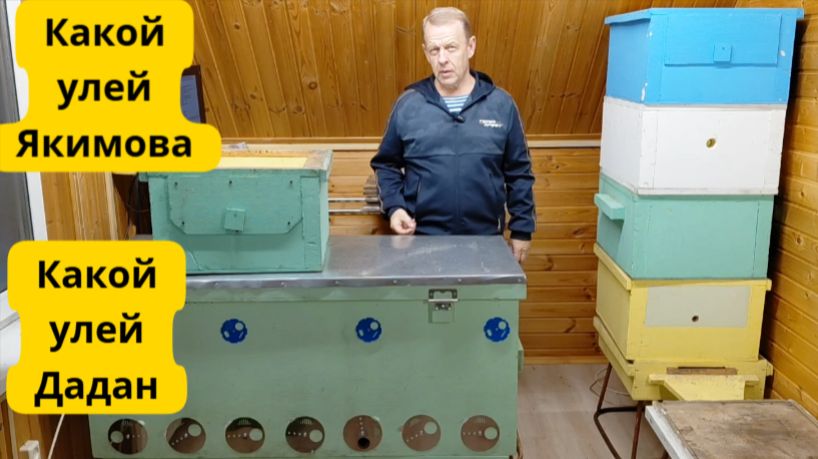 Улей-лежак Якимова и улей Дадан. Сравнение какой улей выбрать начинающему пчеловоду смотреть онлайн
