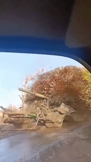 Система защиты Дикобраз