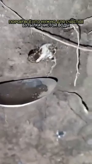 Бутылка чистой воды #сво
