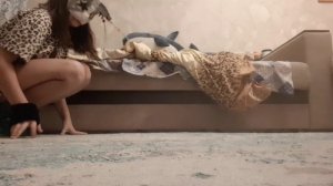 КВАДРОБИКА туториал на прыжок